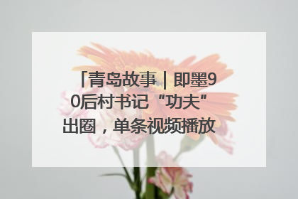青岛故事｜即墨90后村书记“功夫”出圈，单条视频播放量过600万