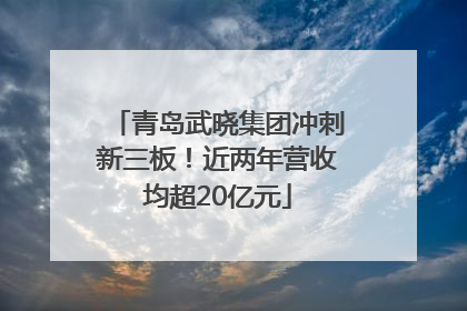 青岛武晓集团冲刺新三板！近两年营收均超20亿元