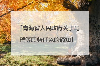 青海省人民政府关于马瑞等职务任免的通知