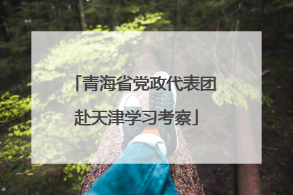 青海省党政代表团赴天津学习考察