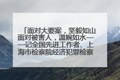 面对大要案，坚毅如山面对被害人，温婉如水——记全国先进工作者、上海市检察院经济犯罪检察部主任马玮玮