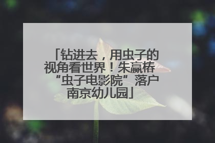 钻进去，用虫子的视角看世界！朱赢椿“虫子电影院”落户南京幼儿园