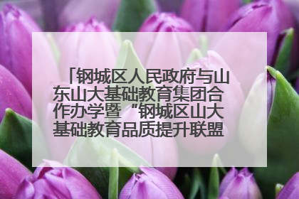 钢城区人民政府与山东山大基础教育集团合作办学暨“钢城区山大基础教育品质提升联盟”签约揭牌活动举行