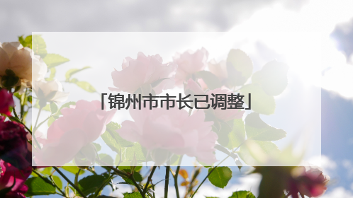 锦州市市长已调整