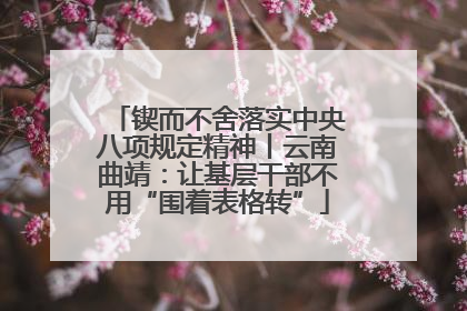 锲而不舍落实中央八项规定精神丨云南曲靖：让基层干部不用“围着表格转”