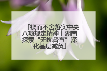 锲而不舍落实中央八项规定精神丨湖南探索“无扰督查”深化基层减负