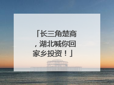 长三角楚商，湖北喊你回家乡投资！