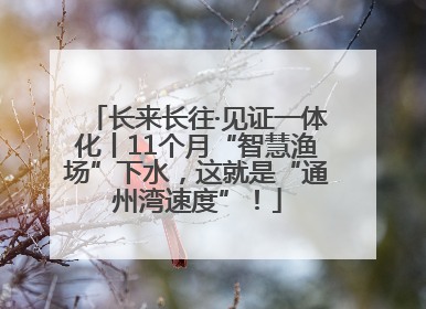 长来长往·见证一体化丨11个月“智慧渔场”下水，这就是“通州湾速度”！