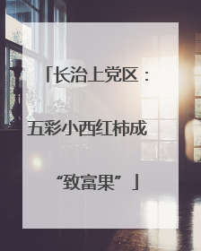 长治上党区：五彩小西红柿成“致富果”