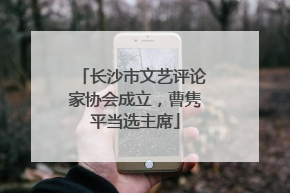 长沙市文艺评论家协会成立，曹隽平当选主席