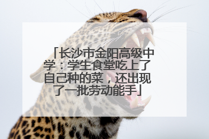 长沙市金阳高级中学：学生食堂吃上了自己种的菜，还出现了一批劳动能手
