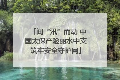 闻“汛”而动 中国太保产险丽水中支筑牢安全守护网