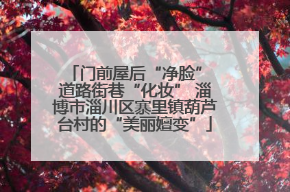 门前屋后“净脸” 道路街巷“化妆” 淄博市淄川区寨里镇葫芦台村的“美丽嬗变”