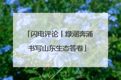 闪电评论丨绿潮奔涌 书写山东生态答卷