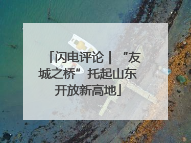 闪电评论｜“友城之桥”托起山东开放新高地