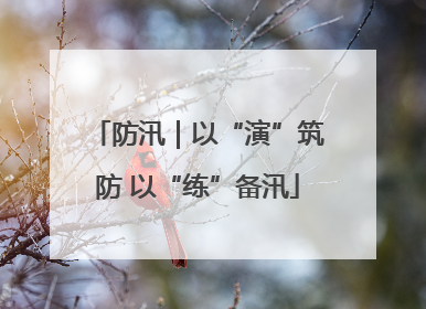 防汛｜以“演”筑防 以“练”备汛