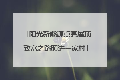 阳光新能源点亮屋顶 致富之路照进三家村