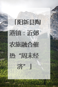 阳新县陶港镇：近郊农旅融合催热“周末经济”