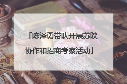 陈泽勇带队开展苏陕协作和招商考察活动