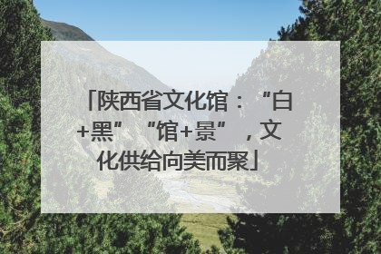 陕西省文化馆：“白+黑”“馆+景”，文化供给向美而聚