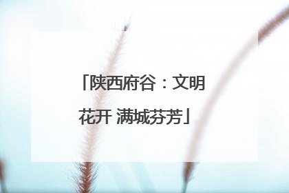 陕西府谷：文明花开 满城芬芳
