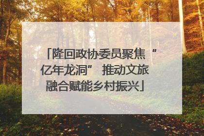 隆回政协委员聚焦“亿年龙洞” 推动文旅融合赋能乡村振兴