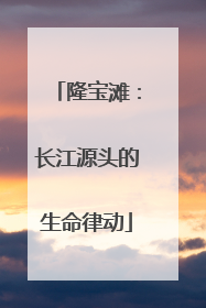 隆宝滩：长江源头的生命律动