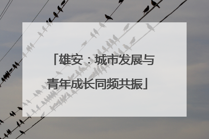 雄安：城市发展与青年成长同频共振