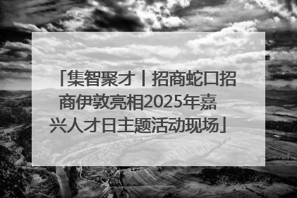 集智聚才丨招商蛇口招商伊敦亮相2025年嘉兴人才日主题活动现场