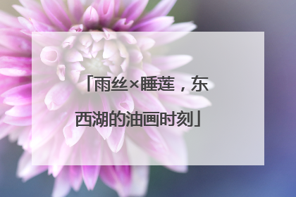 雨丝×睡莲，东西湖的油画时刻