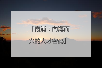霞浦：向海而兴的人才密码