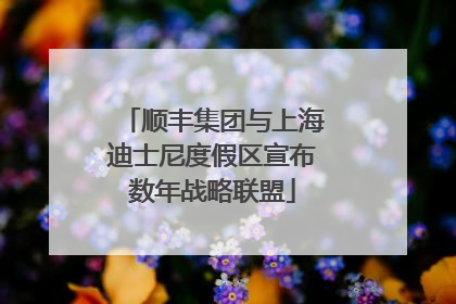 顺丰集团与上海迪士尼度假区宣布数年战略联盟