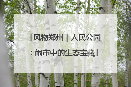 风物郑州｜人民公园：闹市中的生态宝藏