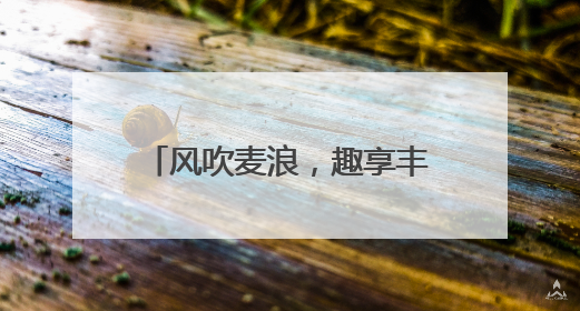风吹麦浪，趣享丰收——五河县申集镇大李小学开展劳动教育实践活动
