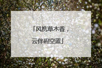 风携草木香，云伴碧空蓝