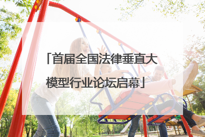 首届全国法律垂直大模型行业论坛启幕