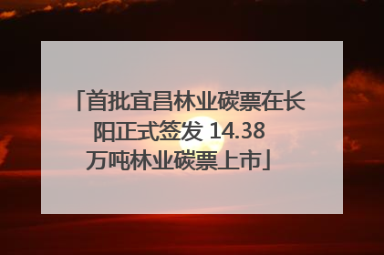 首批宜昌林业碳票在长阳正式签发 14.38万吨林业碳票上市