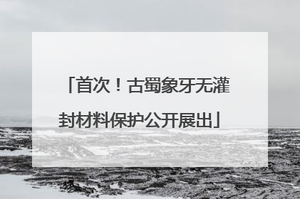 首次！古蜀象牙无灌封材料保护公开展出