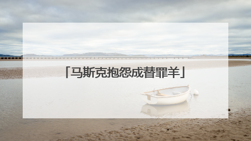 马斯克抱怨成替罪羊