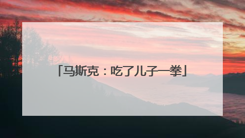 马斯克：吃了儿子一拳