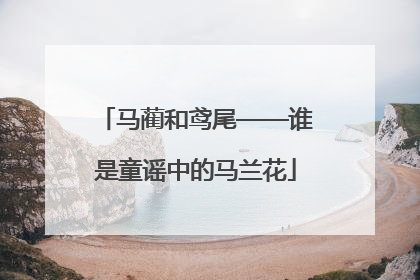 马蔺和鸢尾——谁是童谣中的马兰花