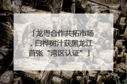 龙粤合作共拓市场，白桦树汁获黑龙江首张“湾区认证”