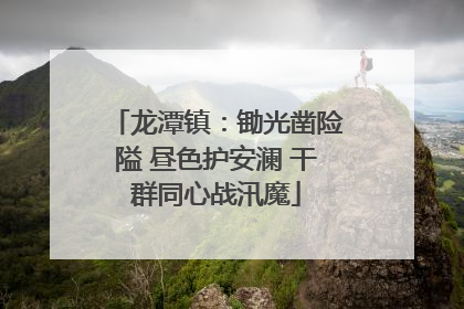 龙潭镇：锄光凿险隘 昼色护安澜 干群同心战汛魔