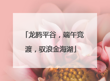 龙腾平谷，端午竞渡，驭浪金海湖