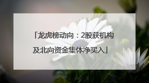 龙虎榜动向：2股获机构及北向资金集体净买入