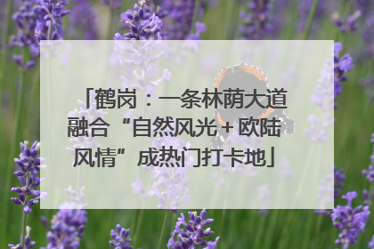 鹤岗：一条林荫大道融合“自然风光＋欧陆风情”成热门打卡地
