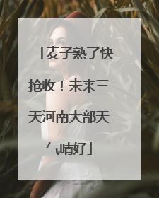 麦子熟了快抢收！未来三天河南大部天气晴好