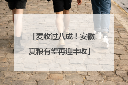 麦收过八成！安徽夏粮有望再迎丰收