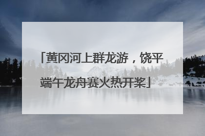 黄冈河上群龙游，饶平端午龙舟赛火热开桨