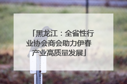 黑龙江：全省性行业协会商会助力伊春产业高质量发展